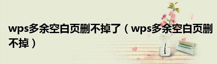 wps多余空白頁刪不掉了（wps多余空白頁刪不掉）