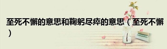 至死不懈的意思和鞠躬盡瘁的意思（至死不懈）