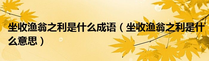 坐收漁翁之利是什么成語(yǔ)（坐收漁翁之利是什么意思）