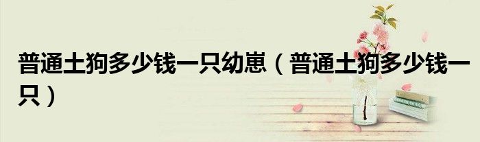 普通土狗多少錢(qián)一只幼崽（普通土狗多少錢(qián)一只）