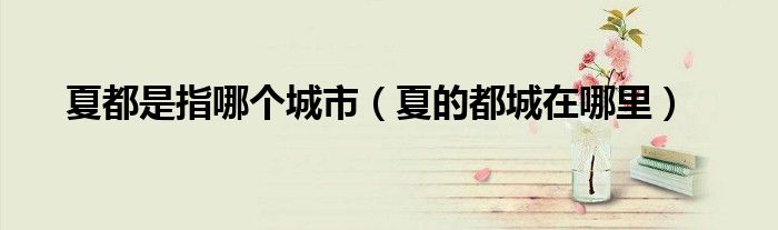 夏都是指哪個城市（夏的都城在哪里）
