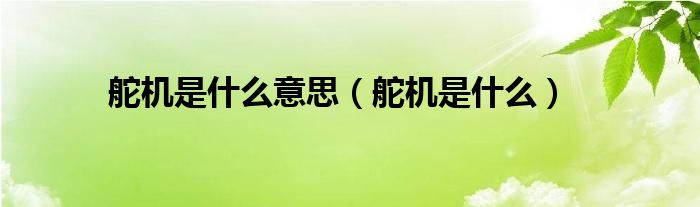 舵機是什么意思（舵機是什么）