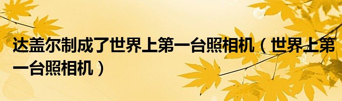 達(dá)蓋爾制成了世界上第一臺照相機(jī)（世界上第一臺照相機(jī)）