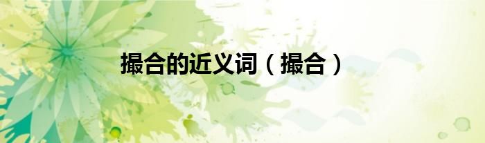 撮合的近義詞（撮合）