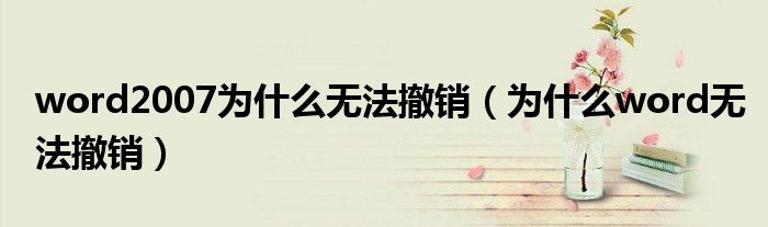 word2007為什么無法撤銷（為什么word無法撤銷）