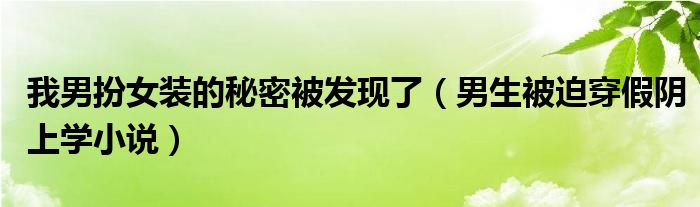 我男扮女裝的秘密被發(fā)現(xiàn)了（男生被迫穿假陰上學(xué)小說）