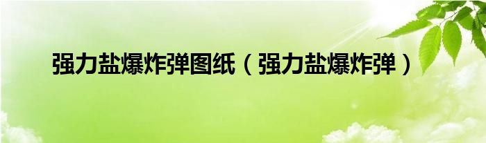 強力鹽爆炸彈圖紙（強力鹽爆炸彈）