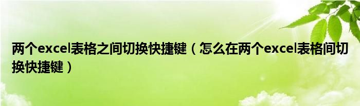 兩個(gè)excel表格之間切換快捷鍵（怎么在兩個(gè)excel表格間切換快捷鍵）