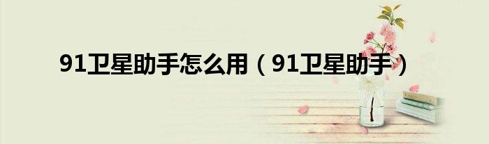 91衛(wèi)星助手怎么用（91衛(wèi)星助手）