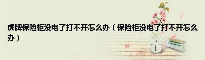 虎牌保險(xiǎn)柜沒(méi)電了打不開(kāi)怎么辦（保險(xiǎn)柜沒(méi)電了打不開(kāi)怎么辦）
