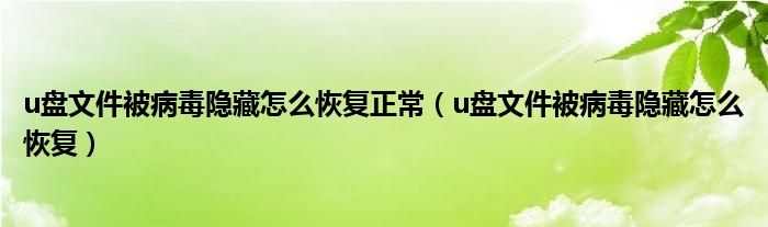 u盤文件被病毒隱藏怎么恢復(fù)正常（u盤文件被病毒隱藏怎么恢復(fù)）