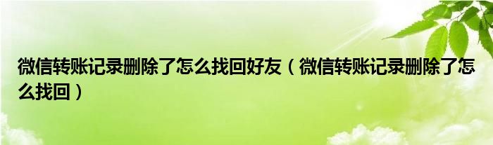 微信轉(zhuǎn)賬記錄刪除了怎么找回好友（微信轉(zhuǎn)賬記錄刪除了怎么找回）