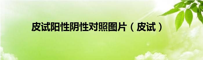 皮試陽(yáng)性陰性對(duì)照?qǐng)D片（皮試）