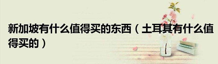 新加坡有什么值得買(mǎi)的東西（土耳其有什么值得買(mǎi)的）