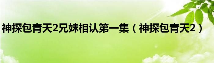 神探包青天2兄妹相認(rèn)第一集（神探包青天2）