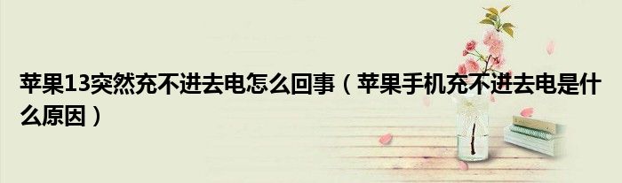 蘋果13突然充不進(jìn)去電怎么回事（蘋果手機充不進(jìn)去電是什么原因）