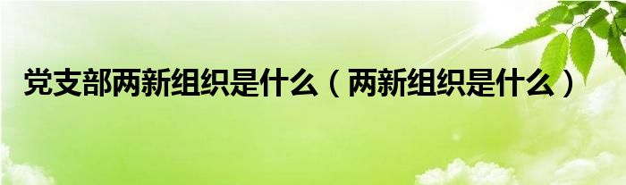 黨支部兩新組織是什么（兩新組織是什么）