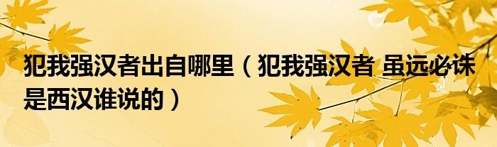 犯我強(qiáng)漢者出自哪里（犯我強(qiáng)漢者 雖遠(yuǎn)必誅 是西漢誰說的）
