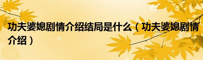 功夫婆媳劇情介紹結(jié)局是什么（功夫婆媳劇情介紹）