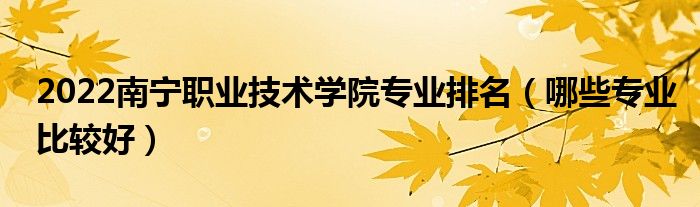 2022南寧職業(yè)技術(shù)學(xué)院專業(yè)排名（哪些專業(yè)比較好）