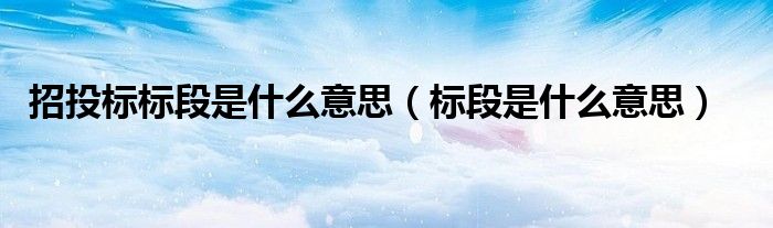 招投標(biāo)標(biāo)段是什么意思（標(biāo)段是什么意思）