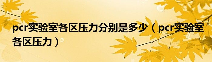 pcr實(shí)驗(yàn)室各區(qū)壓力分別是多少（pcr實(shí)驗(yàn)室各區(qū)壓力）