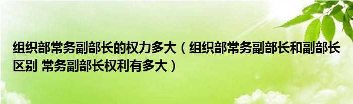 組織部常務副部長的權力多大（組織部常務副部長和副部長區(qū)別 常務副部長權利有多大）