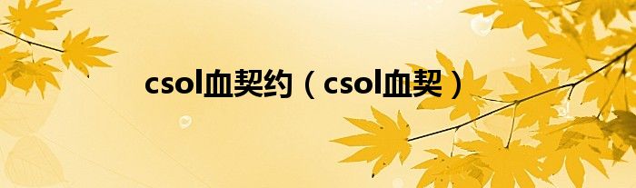 csol血契約（csol血契）