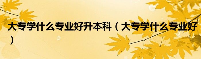 大專學(xué)什么專業(yè)好升本科（大專學(xué)什么專業(yè)好）