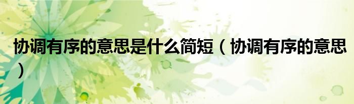 協(xié)調(diào)有序的意思是什么簡(jiǎn)短（協(xié)調(diào)有序的意思）