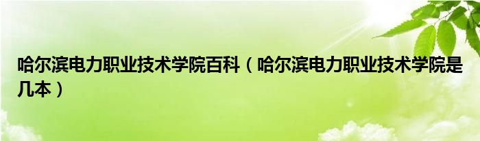 哈爾濱電力職業(yè)技術(shù)學(xué)院百科（哈爾濱電力職業(yè)技術(shù)學(xué)院是幾本）