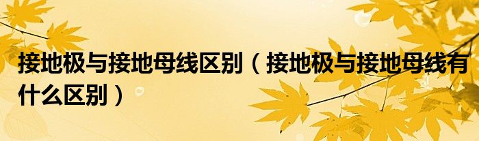 接地極與接地母線區(qū)別（接地極與接地母線有什么區(qū)別）