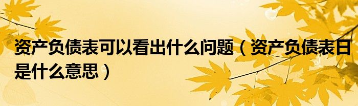 資產(chǎn)負(fù)債表可以看出什么問(wèn)題（資產(chǎn)負(fù)債表日是什么意思）