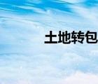 土地轉(zhuǎn)包合同（土地承包協(xié)議）