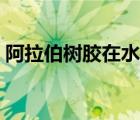 阿拉伯樹膠在水彩里面怎么用（阿拉伯樹膠）
