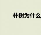 樸樹為什么沒錢（樸樹為什么缺錢）