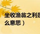 坐收漁翁之利是什么成語（坐收漁翁之利是什么意思）