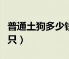 普通土狗多少錢一只幼崽（普通土狗多少錢一只）