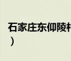 石家莊東仰陵村屬于哪個(gè)區(qū)（石家莊東仰陵吧）