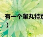 有一個(gè)睪丸特別疼（有一個(gè)睪丸疼是怎么回事）