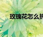 玫瑰花怎么折 高級感（玫瑰花怎么折）