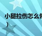 小腿拉傷怎么恢復好得快（小腿拉傷怎么恢復）