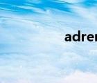 adreno530（adreno）