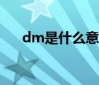 dm是什么意思汽車(chē)（dm是什么意思）
