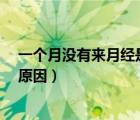 一個(gè)月沒有來月經(jīng)是什么原因?（一個(gè)月沒有來月經(jīng)是什么原因）