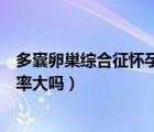 多囊卵巢綜合征懷孕幾率大嗎知乎（多囊卵巢綜合征懷孕幾率大嗎）