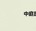 中庭是什么部位（中庭）