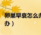 卵巢早衰怎么辦最有效的方法（卵巢早衰怎么辦）