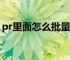 pr里面怎么批量加字幕（pr怎么批量加字幕）