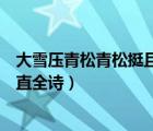 大雪壓青松青松挺且直全詩硬筆書法（大雪壓青松青松挺且直全詩）